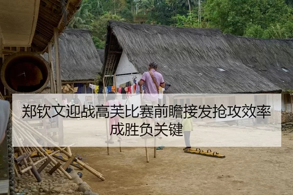 郑钦文迎战高芙比赛前瞻接发抢攻效率成胜负关键