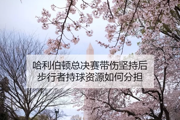 哈利伯顿总决赛带伤坚持后 步行者持球资源如何分担