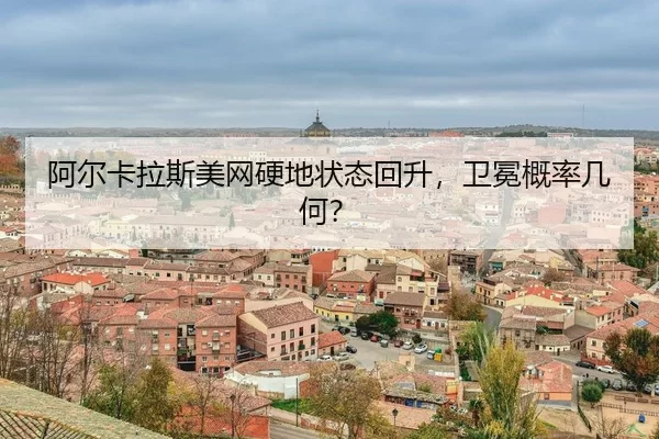 a-er-ka-la-si-mei-wang-ying-di-zhuang-tai-hui-sheng-wei-mian-gai-lv-ji-he-3-254.jpg