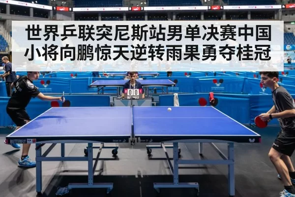 世界乒联突尼斯站男单决赛中国小将向鹏惊天逆转雨果勇夺桂冠